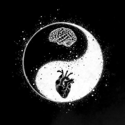 Angle Light 220 Lumens 3xaaa Included 